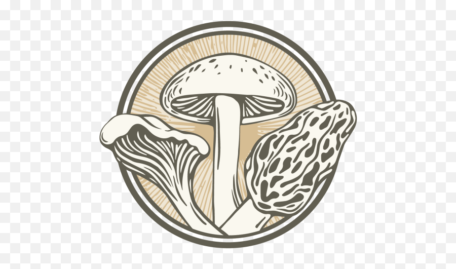 King Oyster Mushroom - Shiitake Png,Mushroom Logo