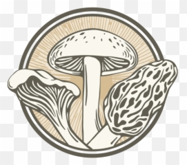 King Oyster Mushroom - Shiitake Png,Mushroom Logo