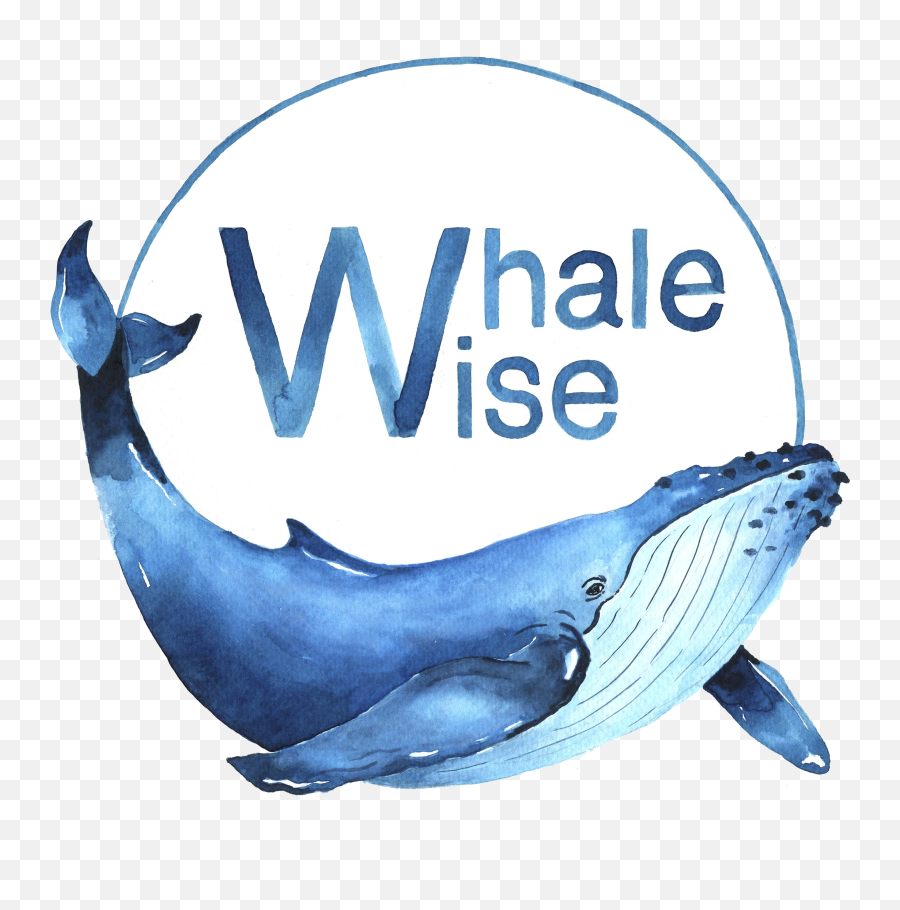 Whales Png - Whale Wise Common Bottlenose Dolphin Humpback Whale,Dolphin Transparent