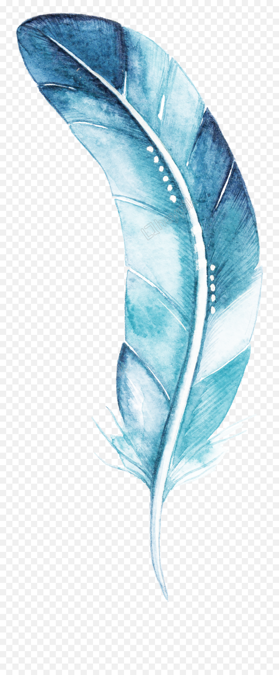 Blue Feather Cartoon Watercolor Beautiful Transparent - Blue Watercolor Feather Png,Feather Transparent