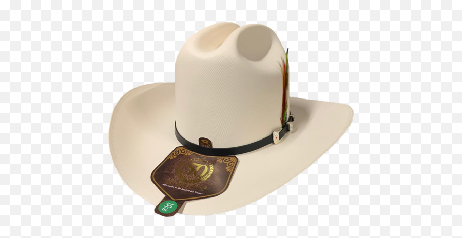 Cowboy Hats Sombreros - Sombrero Estilo El Fantasma Png,Black Cowboy Hat Png