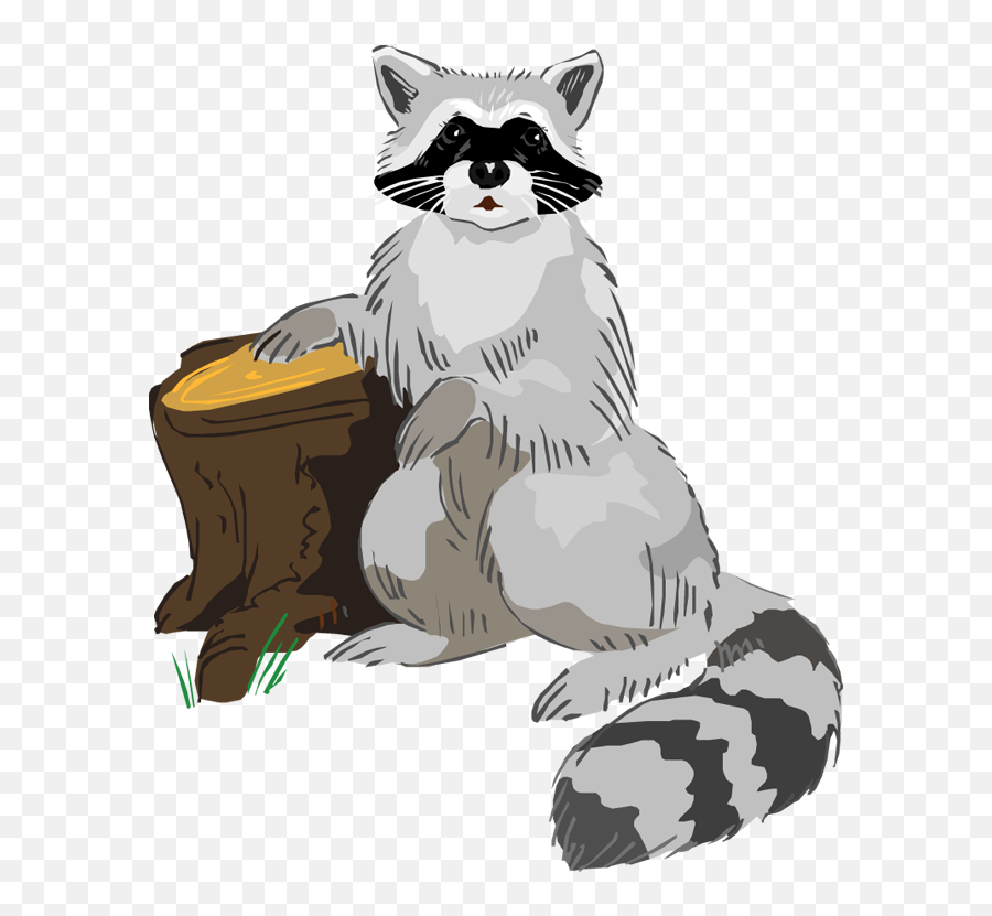 Free Raccoon Clipart 2 - Clipartix Transparent Background Cute Raccoon Clip Art Png,Raccoon Transparent Background