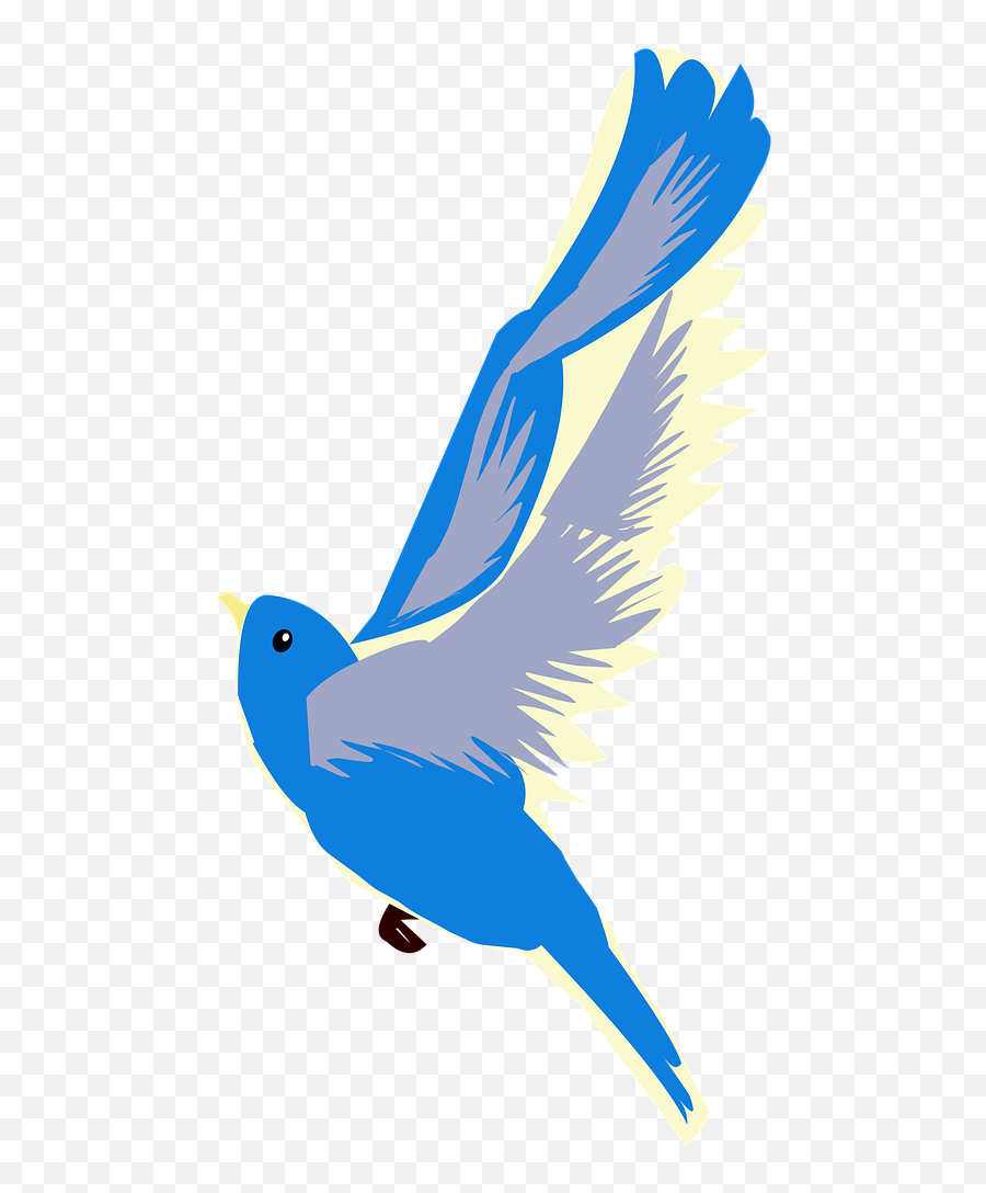 Birdblue Birdflyingnatureoutdoors - Free Image From Blue Bird Flying Transparent Png,Birds Flying Transparent