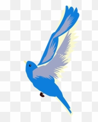 Birdblue Birdflyingnatureoutdoors - free image from Blue Flying Transparent png