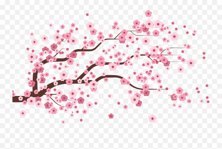 Cherry Blossom Petals Falling Gif - Cherry Blossom Falling Gif Png,Money Falling Gif Transparent