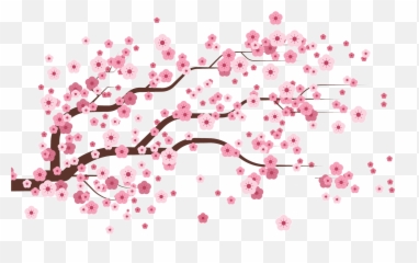 Cherry Blossom Petals Falling Gif - png