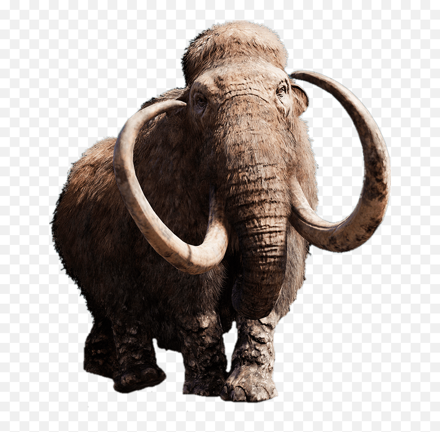 Mammoth With Giant Tusks Transparent - Mammoth Png,Mammoth Png