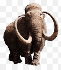 Mammoth With Giant Tusks Transparent - Mammoth Png,Mammoth Png