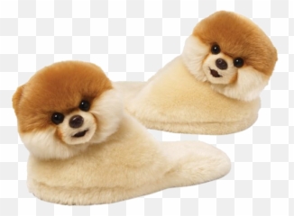 Download Boo Dog Transparent Hq Png Image Freepngimg - Gund The Cutest Dog,Pomeranian Png