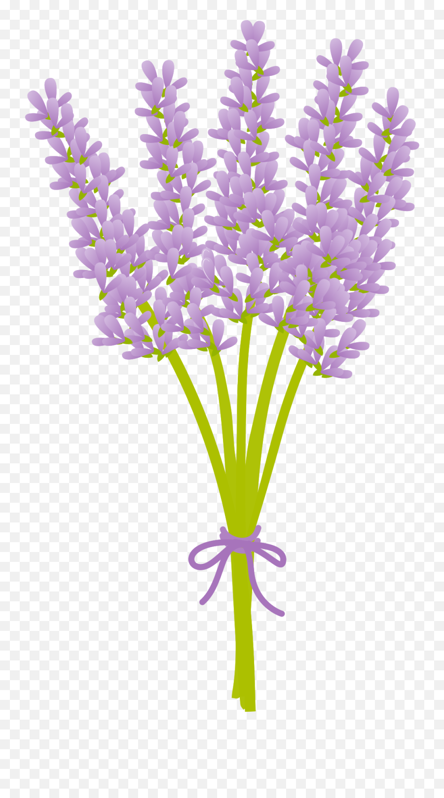 Free Lavender Flower 1190293 Png With - Lavender Flower Vector Png,Lavendar Bush Icon