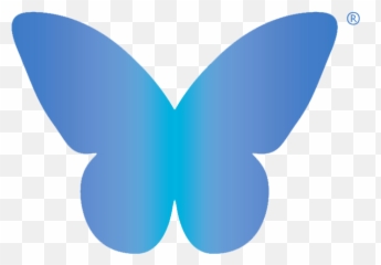 Butterfly Logo Png Picture - Lycaenid