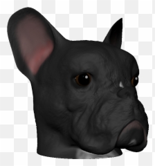 French Bulldog Head By Willmundell - Thingiverse png
