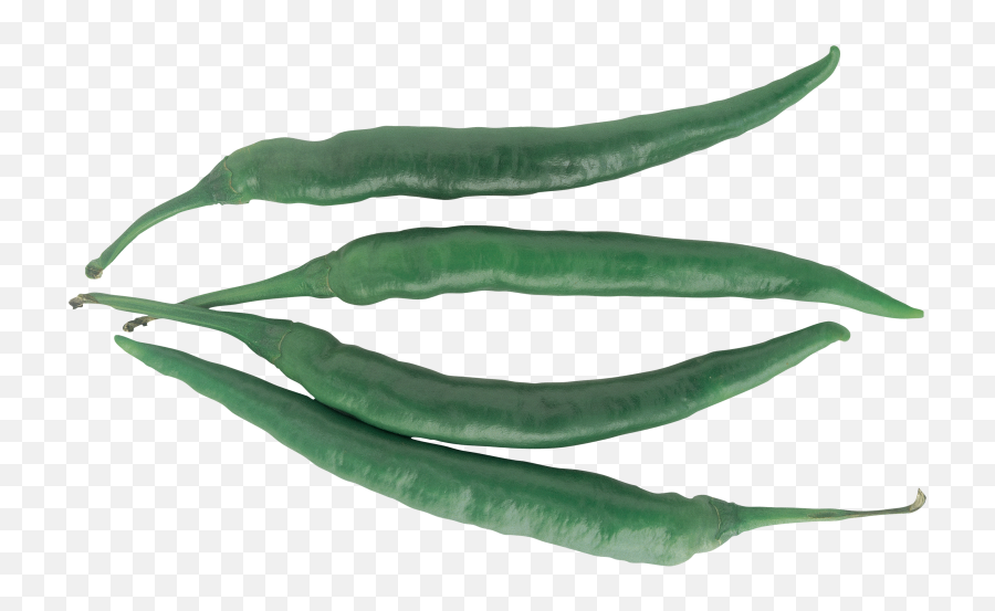 Download Green Pepper - Eye Chili Png,Green Pepper Png