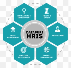 Datapuri Human Resources Information - Enterprise Risk Management Png,Hris Icon