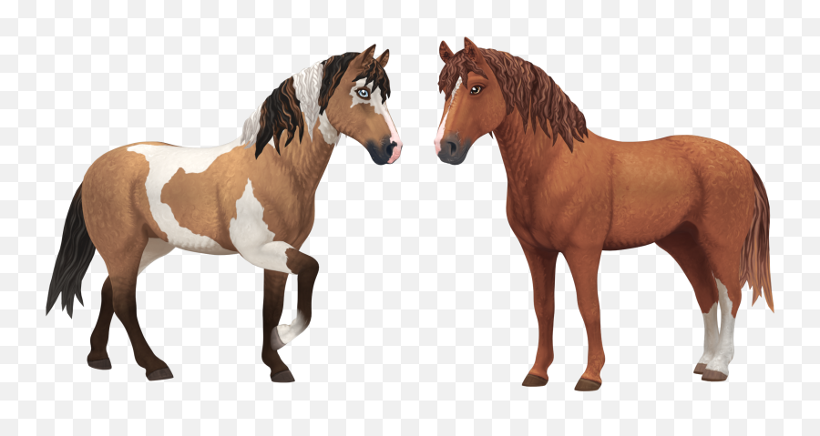 Download Free Fan Art Resources Star Stable - Star Stable Curly Horse Png,Horse Running Png