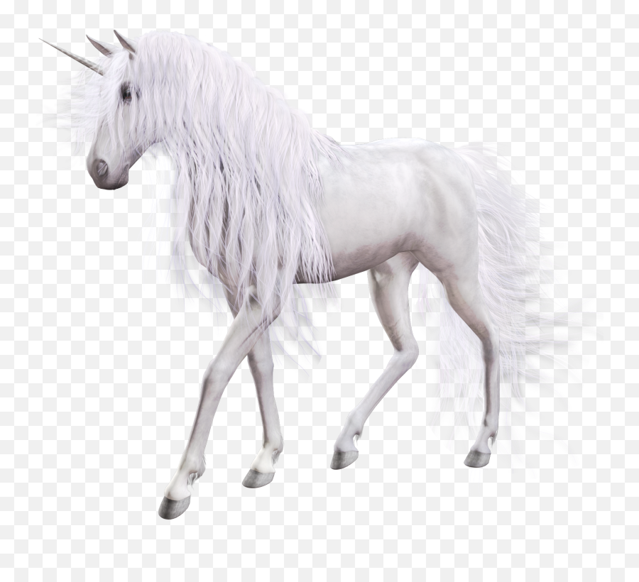 Unicorn Transparent Png File Web Icons