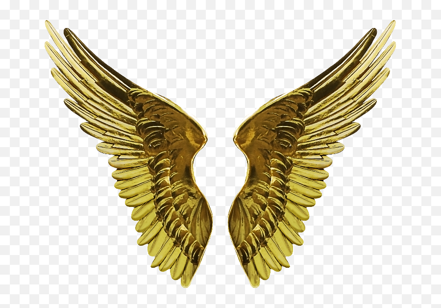 Angel Wings Transparent Png - Gold Angel Wings Png,Angel Halo Transparent Background