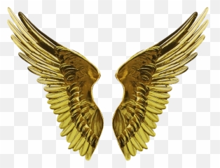 Angel Wings Transparent Png - Gold