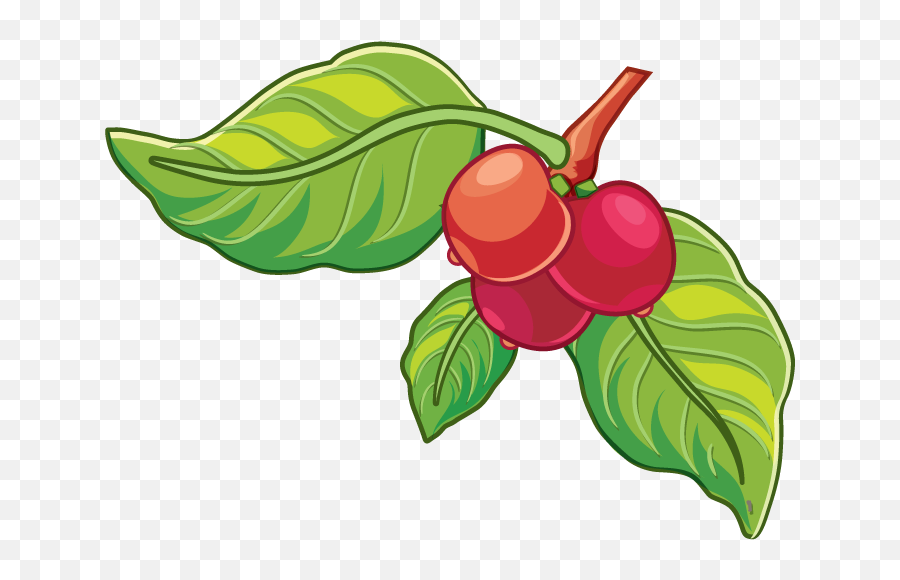 Purps Organic Energy - Cherry Guarana Fresh Png,Cherry Mobile Icon