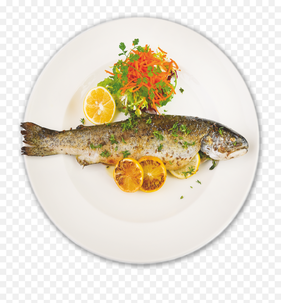 Download Fish - Plate Of Food Png Fish,Plate Png