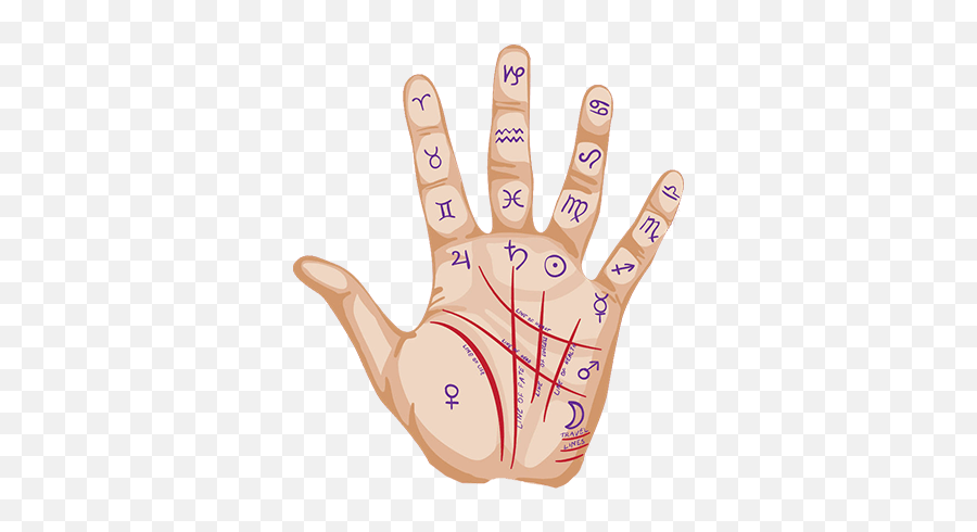 Palm Reading Transparent Png Clipart - Does The M On Your Hand Mean,Hand Palm Png