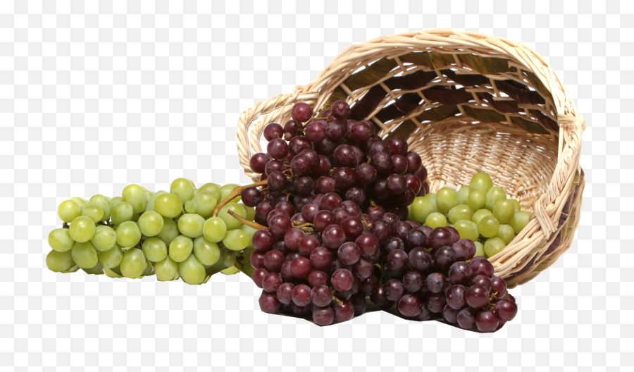 Black Grapes Png Transparent Image