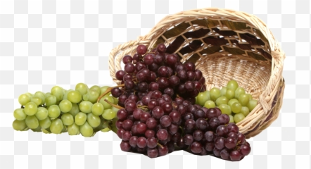 Black Grapes Png Transparent Image