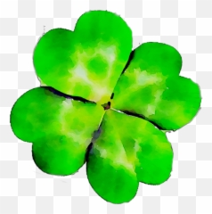Shamrock Leaf - png download 10261026 Free Transparent