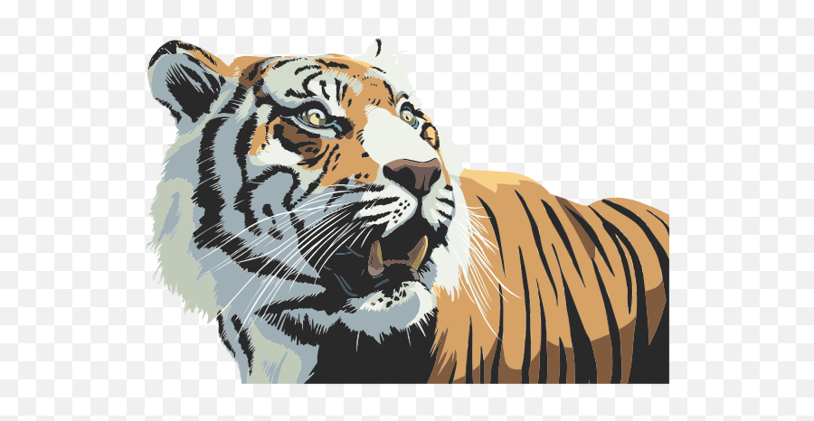 Tiger Head Illustration - Tiger Png,Tiger Head Png