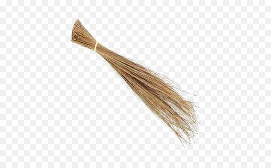 Coconut Broom Transparent Image - Broom Stick Png,Broom Transparent