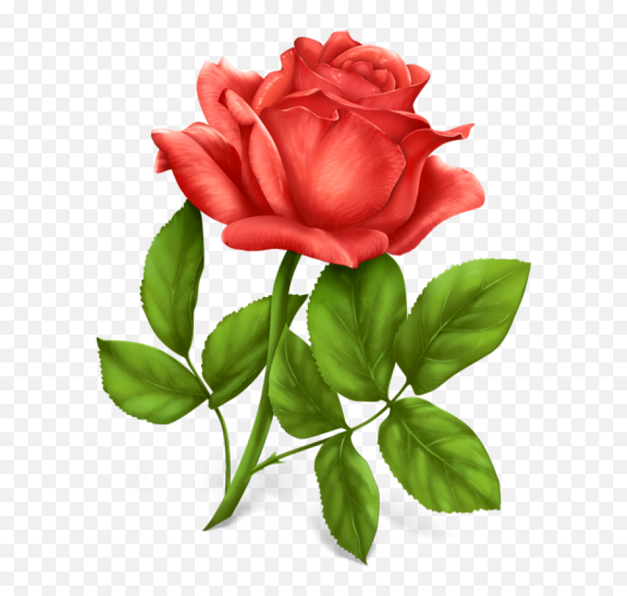 Pink Rose Png Image - Single Rose Flower Images Free Download Hd,Pink Roses Png