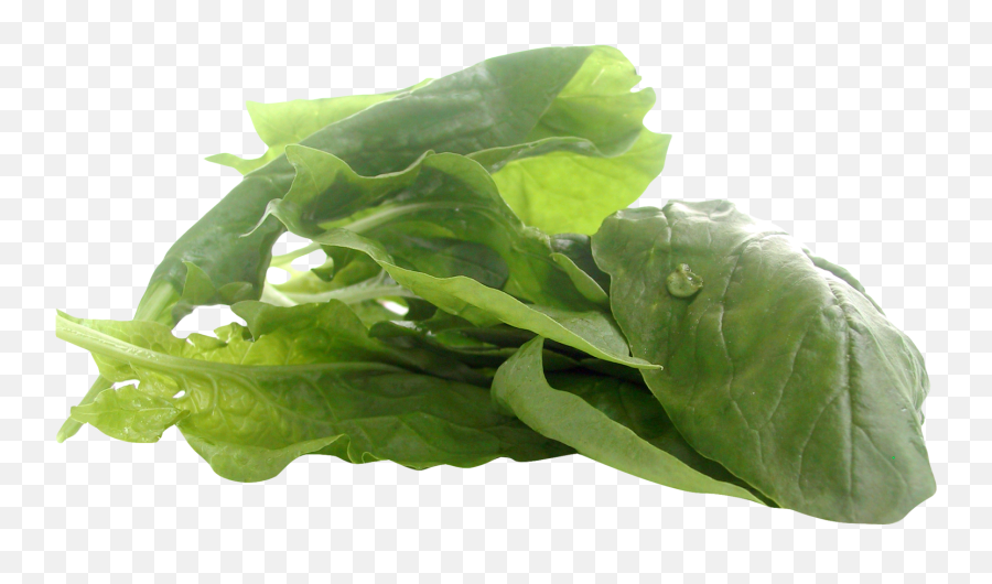 Spinach Png Image For Free Download - Foods With Zinc Vegan,Spinach Png