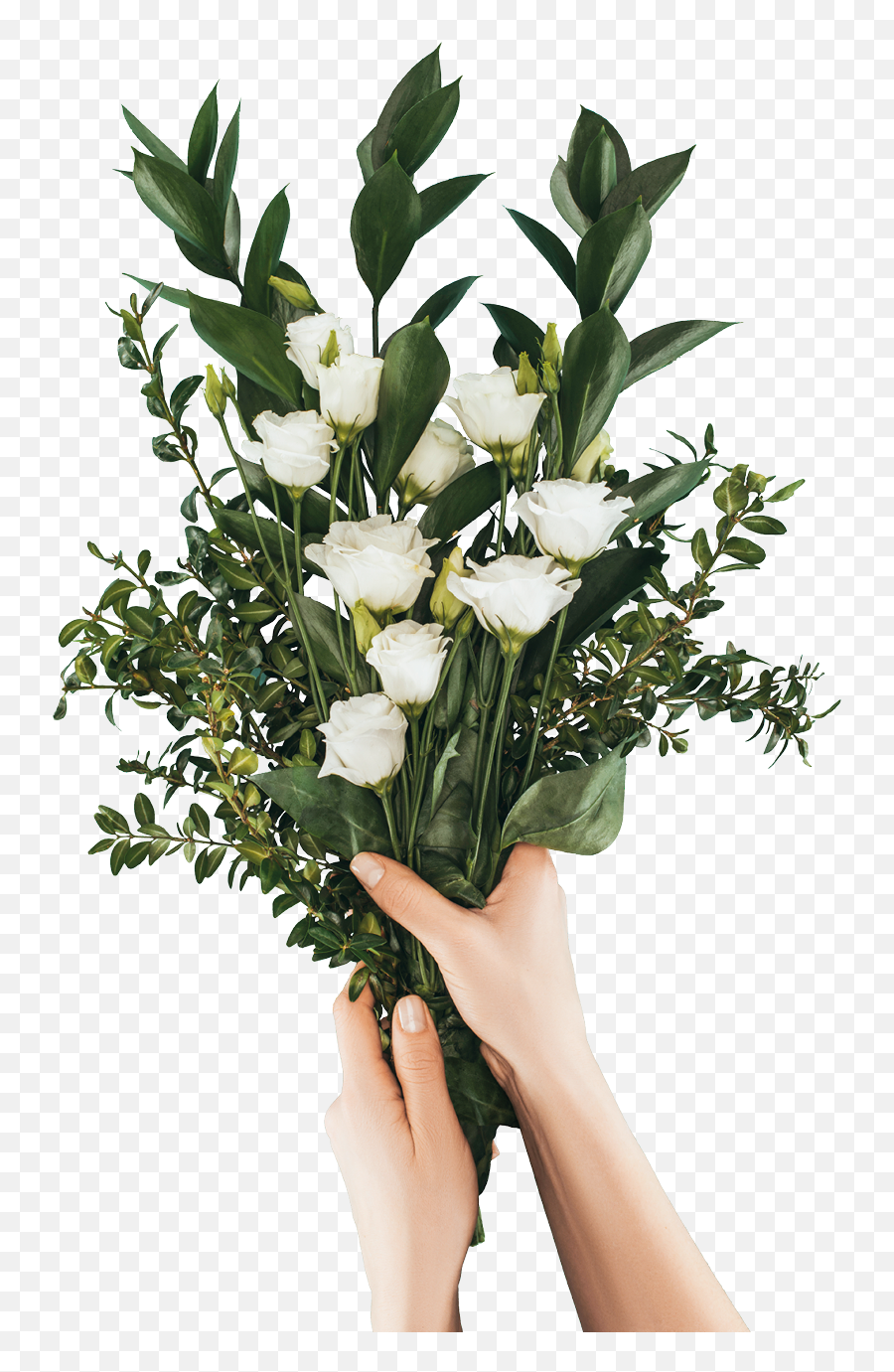 Bloom Your Career With Floristry U0026 Floral Arrangement - Stock Photography Png,Real Flower Png