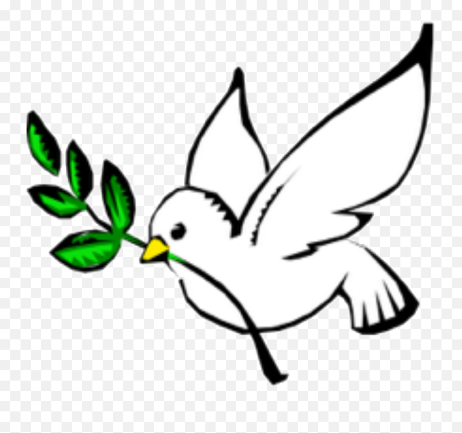 Columbidae Doves As Symbols Peace Olive Branch Clip Art - Things That Represent The Holy Spirit Png,Olive Branch Png