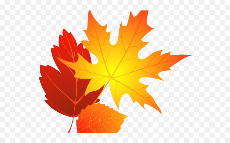 Download Hd Leaves Clipart Oval Leaf - Fall Leaves Png Autumn Leaves Png,Fall Leaves Png