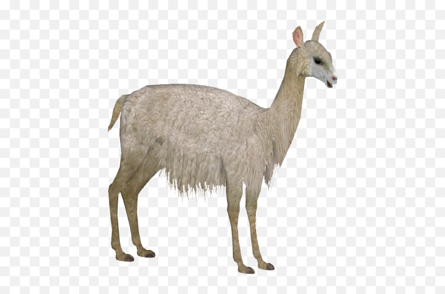 Download Alpaca - Animal Figure Png,Alpaca Png