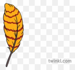 Feather 4 Fantastic Feathers Birds Animals Ks1 Illustration - Language Png,Fantastic 4 Logo