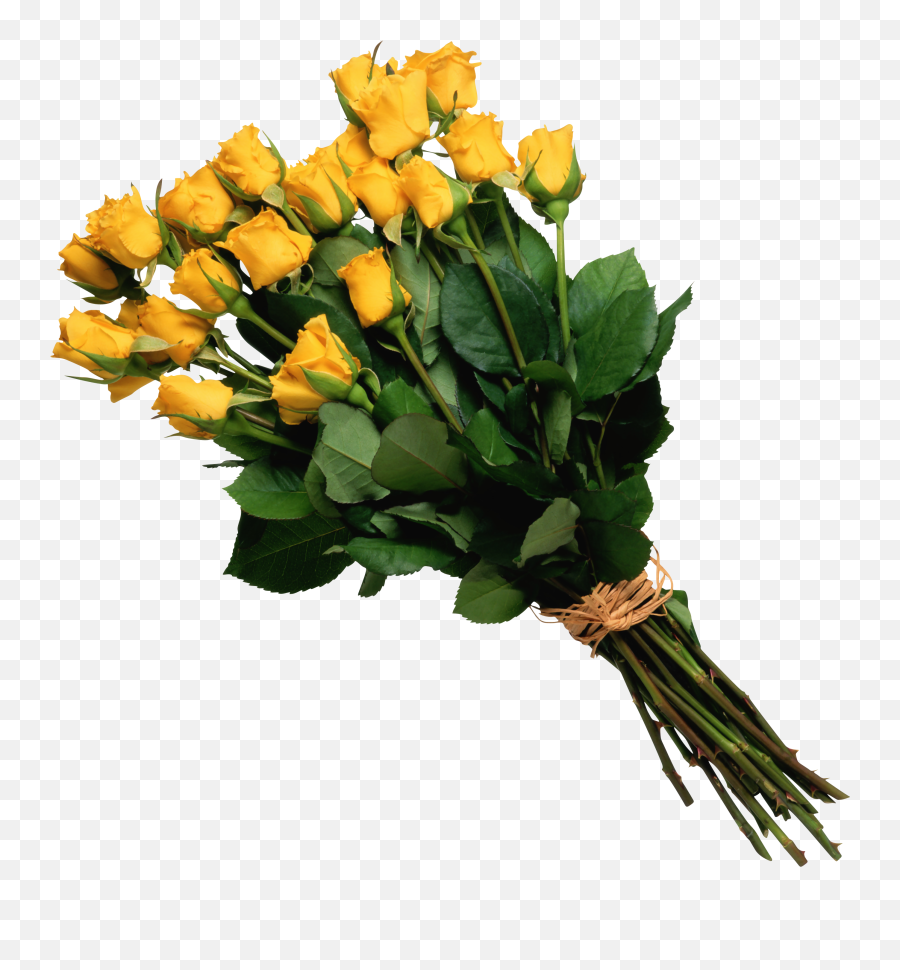 Yellow Roses - Flower Bouquet Png Transparent,Yellow Roses Png