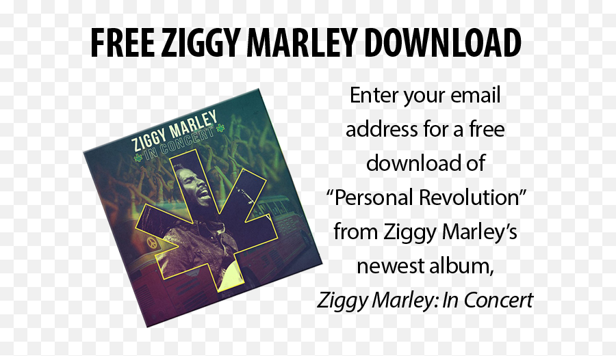Free Ziggy Marley Download - Boerne Education Foundation Png,Bob Morley Gif Icon