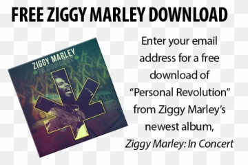 Free Ziggy Marley Download - Boerne Education Foundation Png,Bob Morley Gif Icon