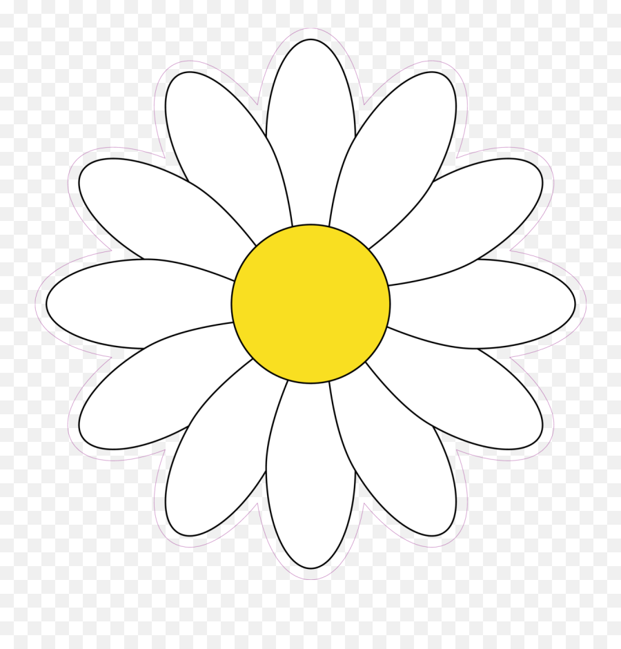 Download Simple White Daisy Flower - Sunflower Png,Simple Flower Png