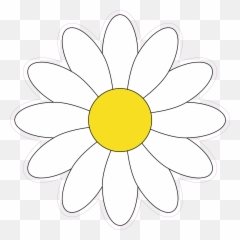 Download Simple White Daisy Flower - Sunflower Png,Simple Flower Png