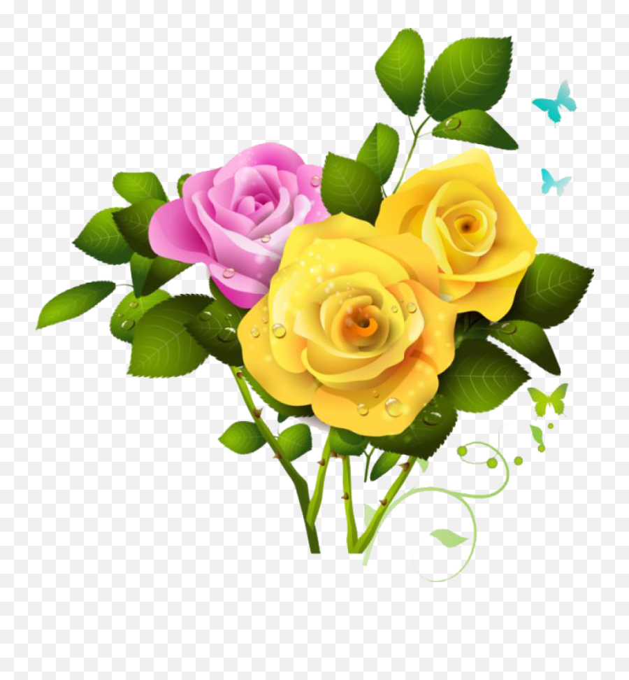 Yellow Rose Png File - Pink Rose And Yellow Rose,Real Rose Png