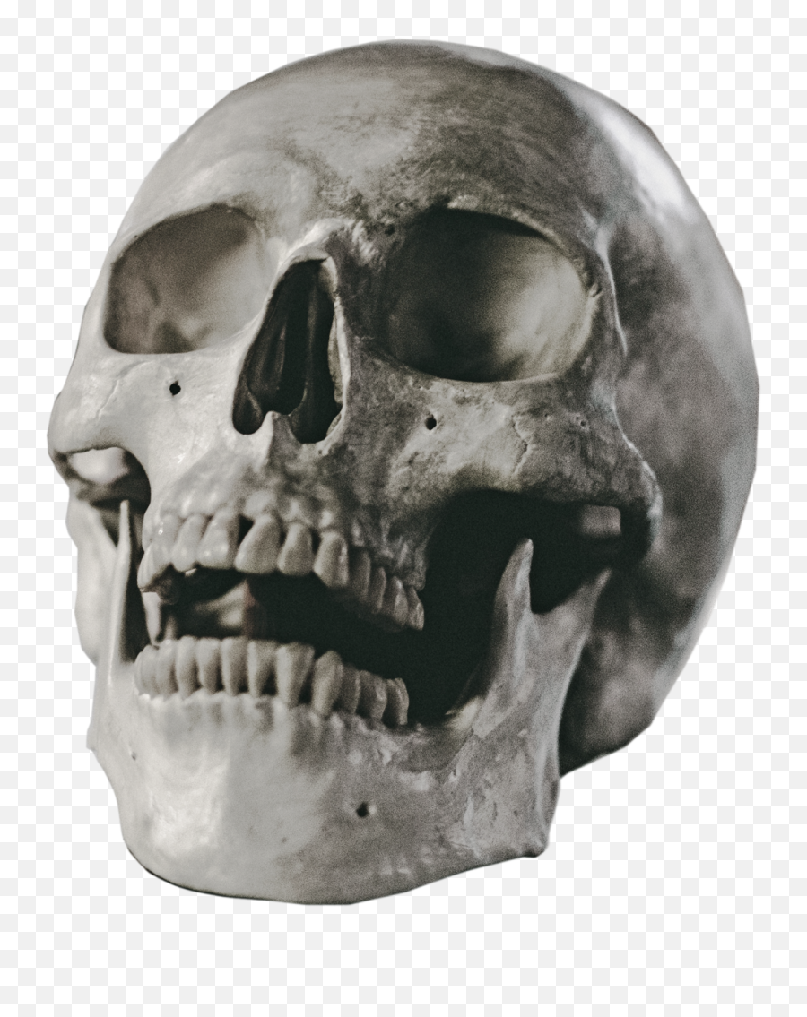 Halloween Skull Png Background Image - Transparent Background Skull Png,Skull Png Transparent