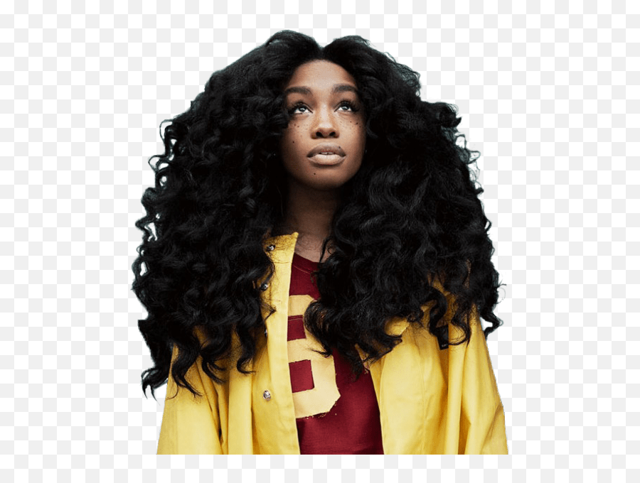 Bmi - Kendrick Lamar Babylon Sza Png,Icon Girl Half Wig