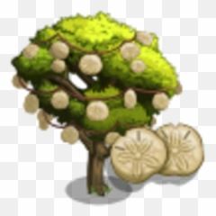 Sand Dollar Tree Farmville Wiki Fandom - Fruit png