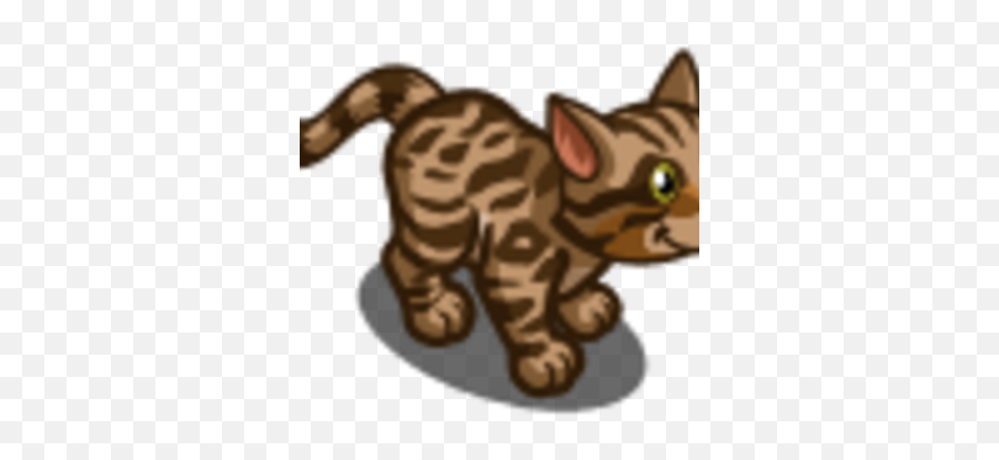 Brown Bengal Cat Farmville Wiki Fandom - Kitten Png,Cat Icon Png