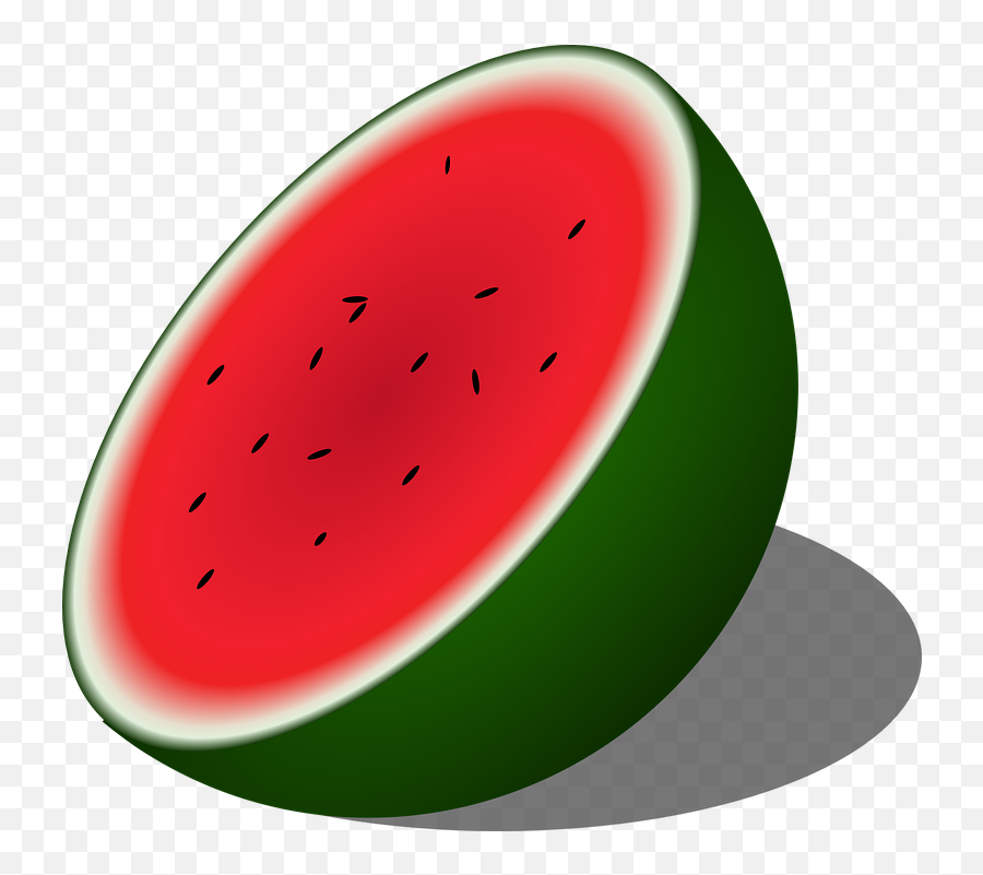 Watermelon Clipart Bitter Gourd - Half Of A Watermelon Png,Cantaloupe Png