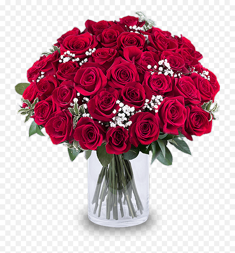 35 Red Roses - Floribunda Png,Red Rose Transparent