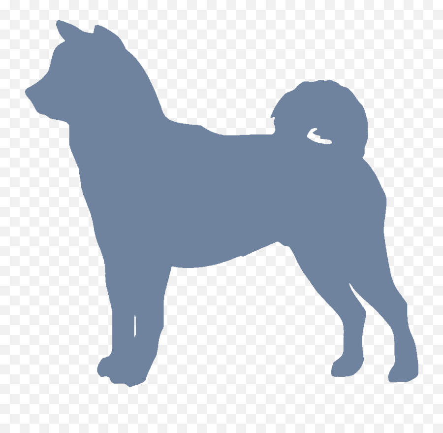 Puppy Breeder Referral Veterinary Village - Shiba Inu Shiba Silhouette Png,German Shepard Puppy Icon